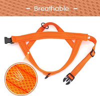 Didog No Pull Dog Harness with Soft Mesh Padded,Reflective & Quick Fit Light Weight Dog Strap Vest Harness,Easy for Walking Training (M:Chest 21-26", Orange)