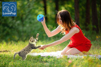 Large Cat Ball Toy with Bell, Blue - Blue - 3 Pack - image 2