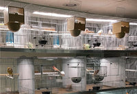 HappyBird Lightning (A Divison of M&M Cage) 18" LED linkable Light bar Without Power Source for Multiple Bird Breeder Cages, Full Spectrum LED. Will NOT Run ON ITS OWN (Single)