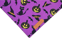 Halloween Dog Bandanas 2 Pack - Halloween 1 / Large - image 2