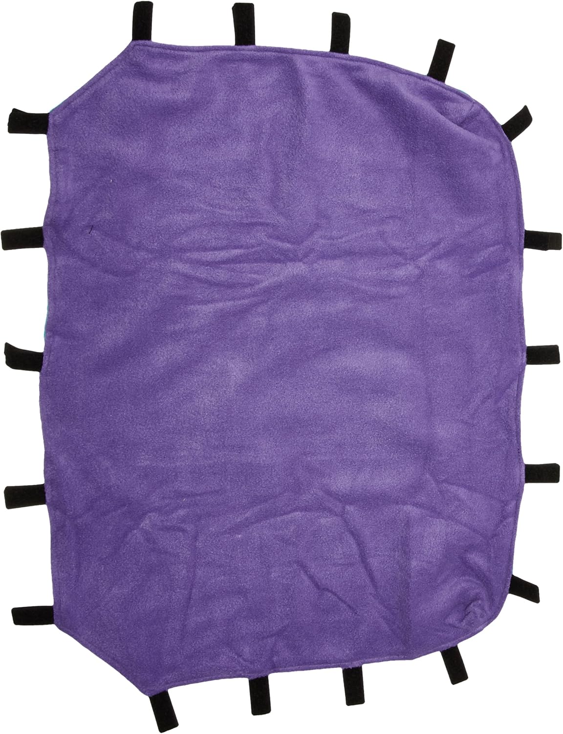 MidWest Homes for Pets Ferret Nation Exit Ramp & Cover for Ferret - 23.3"L x 17.5"W x 1.0"H / Teal and Purple - image 2
