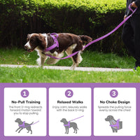 No Pull Dog Harness for Small Dogs, Soft Flannel Padded, XS - XS:chest 15-19" / Purple - image 4