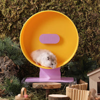 Super‑Silent Hamster Exercise Wheel - 8.7inch / Passionfruit Yellow - image 3