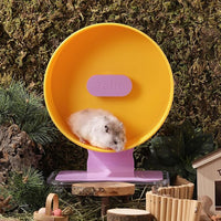 Silent Hamster Wheel 8.7 Inch Dual-Bearings Small Animals Quiet Running Exercise Wheels, Height Adjustable for Dwarf Hamsters, Gerbils, Mice, Hedgehog, or Other Small Pets,Passionfruit Yellow