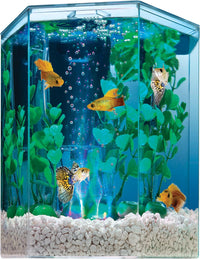 Tetra Half-Moon 3 Gallon Starter Fish Tank Kit – Essentials for Fish - 1 Gallon / Modern