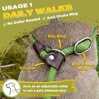 Fida Durable Slip Lead Dog Leash - 4ft - Large (1/2") / Green - image 4