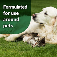 Simple Green Outdoor Odor Eliminator for Pets, Dogs, 1 gallon Refill - Ideal for Artificial Lawns & Patio, Milky White (Pack of 2)