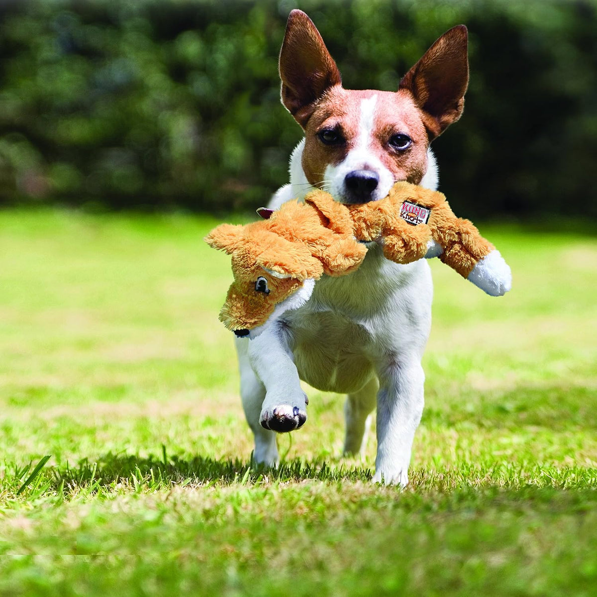 KONG Scrunch Knots Plush Dog Toy with Knotted Rope – Essentials for Dogs - image 2