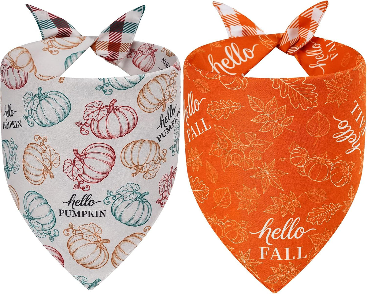 Halloween Dog Bandanas Pink Black XLarge 2PCS - hello fall-pumpkin-26-N / Large