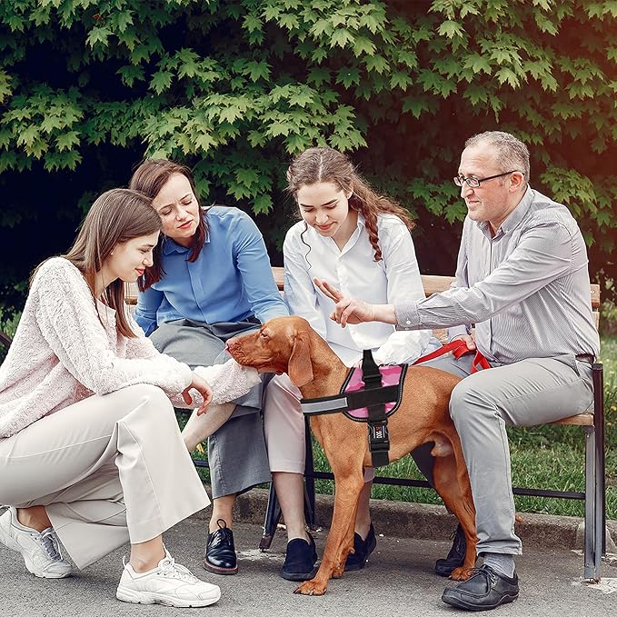 Dogline Dog Harness, Reflective No-Pull Adjustable Vest with Handle for Walking, Training, Breathable, No - Choke Harness for Small, Medium or Large Dogs Room for Patches Girth 15 to 18 in Pink Camo