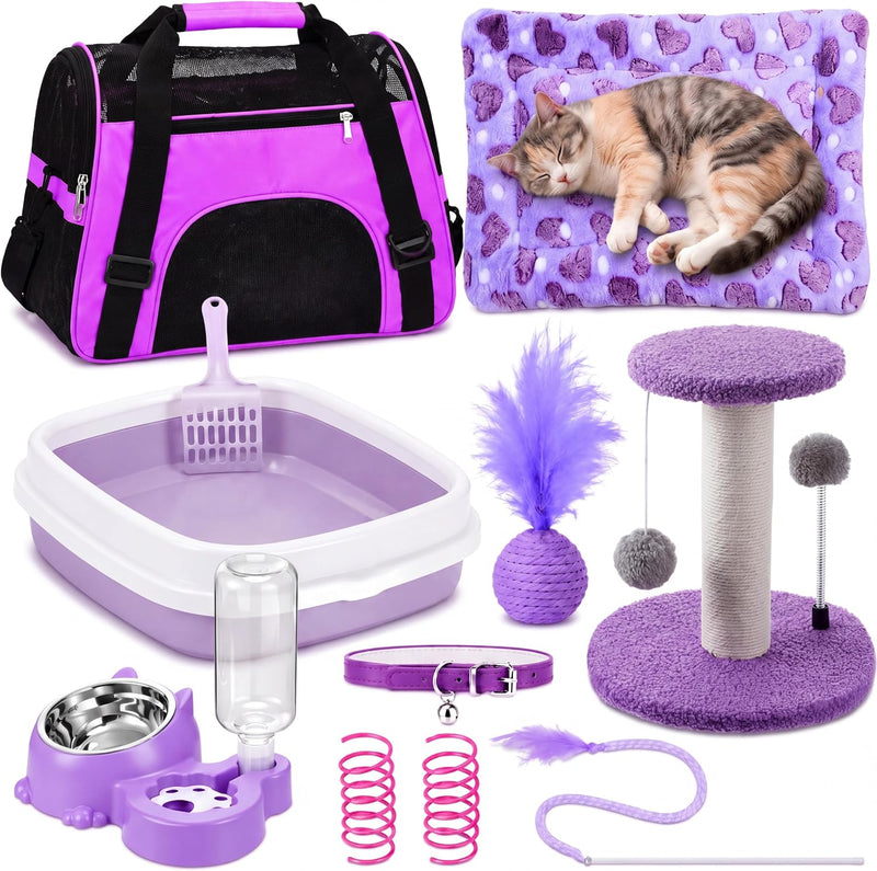 Eccliy 10 Pcs Kitten Starter Kit for Indoor - Cute / Medium / Purple