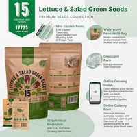 Organo Republic 15 Lettuce & Salad Greens Seeds Variety Pack 17700+ Non-GMO Heirloom Lettuce Seeds for Indoors & Outdoors Garden, Hydroponics, Aerogarden - Arugula, Kale, Spinach, Swiss Chard, Lettuce