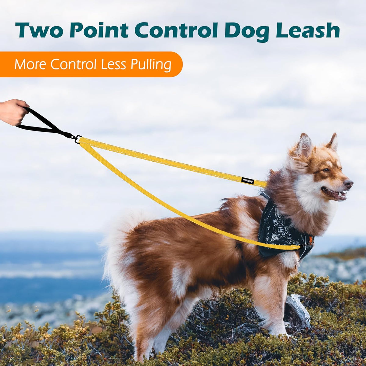 Two Point Control Dog Leash, No Tangle Training Walking Leashes – Essentials for Dogs - Yellow - image 2