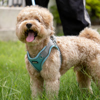 AIITLE Small Dog Harness and Leash Set, Step-in Puppy Pet Vest - S(Chest: 13.5 - 16") / Blue - image 4