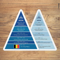 Mount Cleverest Original Edition, True or False Trivia Game - Geography - image 4