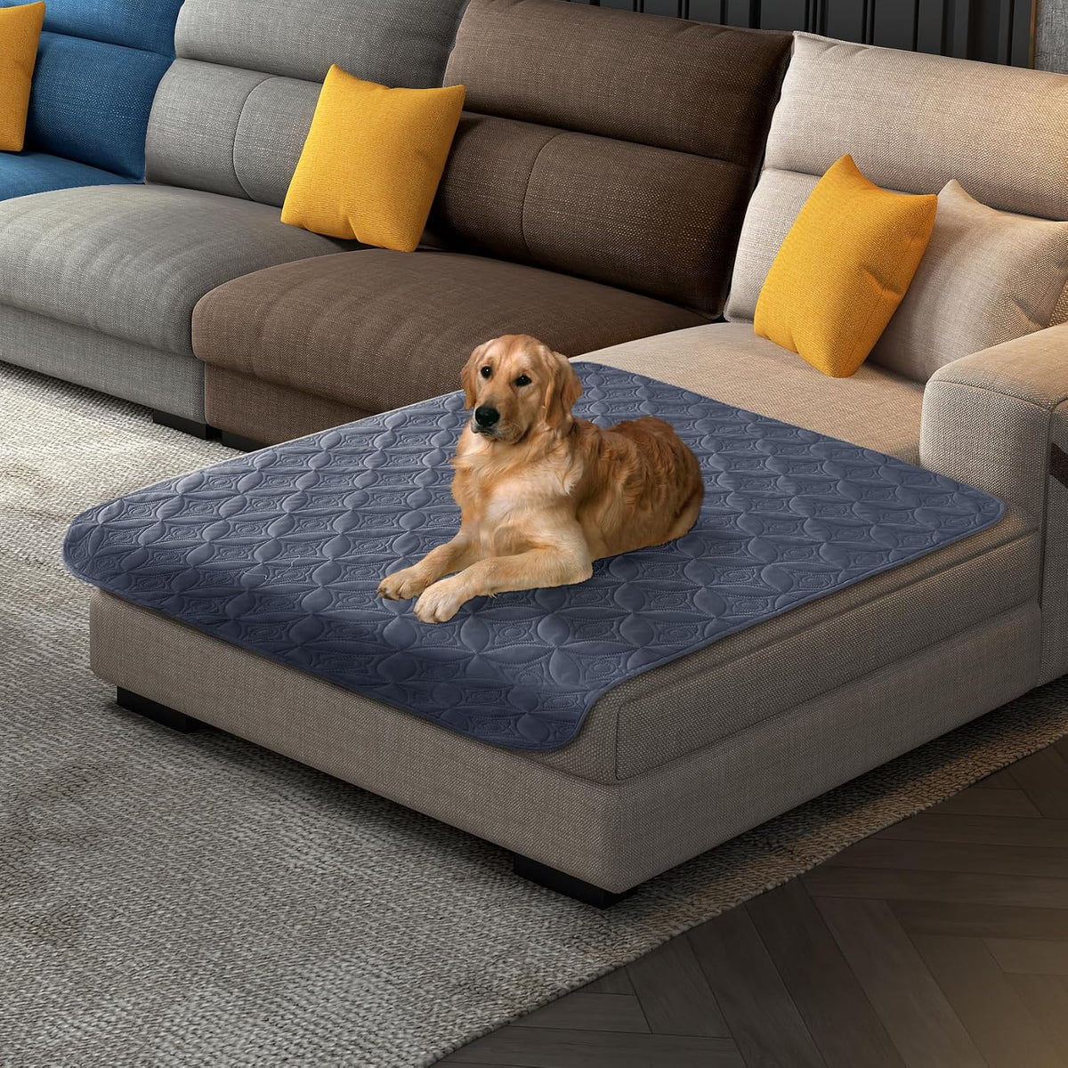 Waterproof Couch Cover for Dogs - Blue+cream / 40x50 Inches