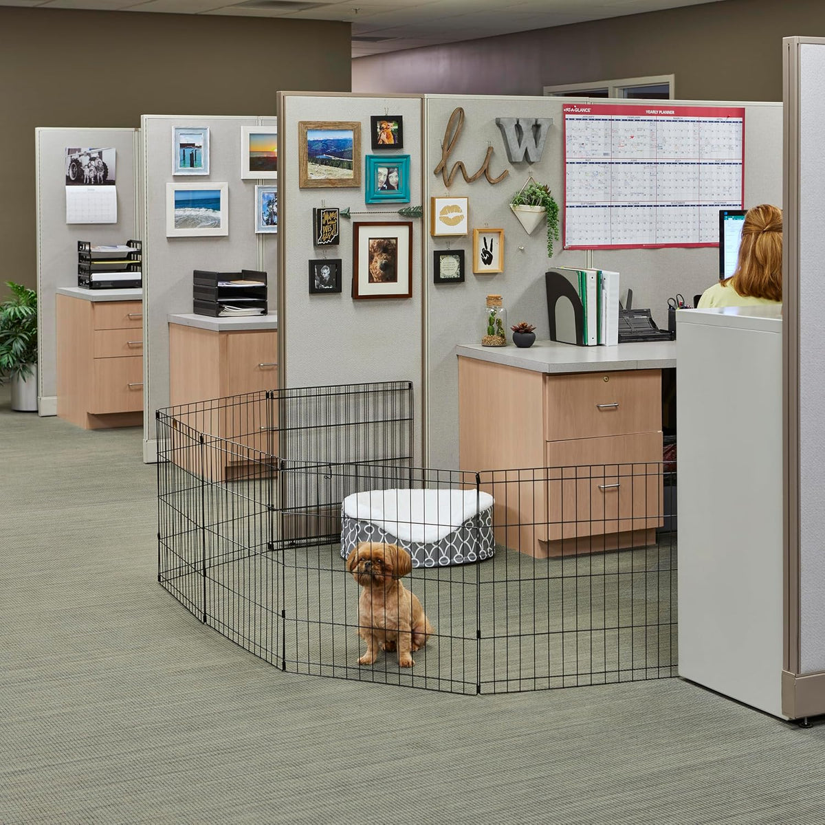 MidWest 30-Inch Exercise Pen, Single Door, 16 Sq Ft Play Area – Essentials for Dogs - Black No Door / 30" H - image 3