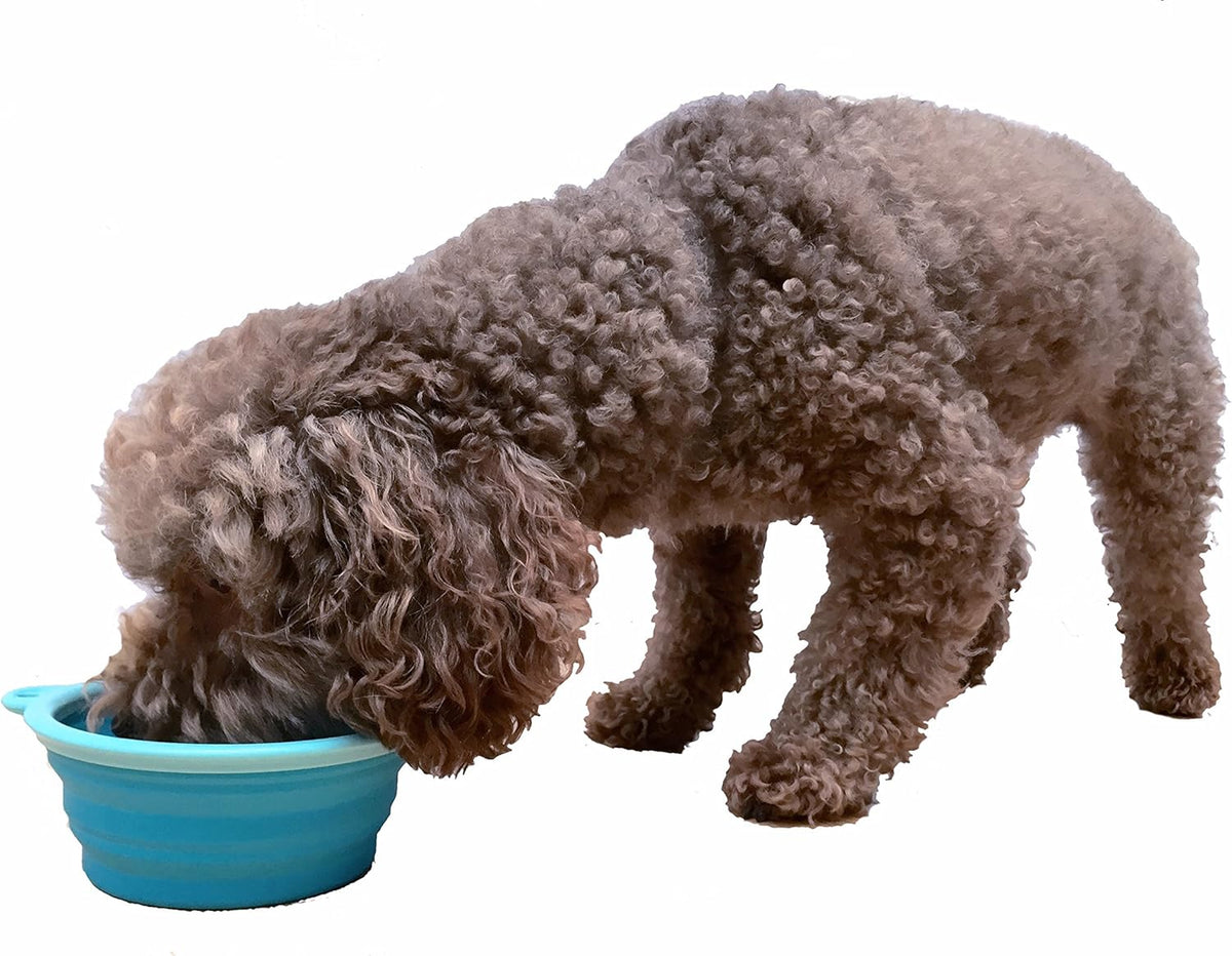 Prima Pet Expandable/ Collapsible Silicone Food & Water Travel Bowl - Aqua / SMALL (1.5 CUPS) - image 4