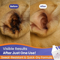 Dog & Cat Ear Cleaner Solution with Aloe Vera & Tea Tree Oil – Removes Itchy Ear Wax, Debris, Odor – Ears Wash, Drops & Flush for Pets, Dog Ears Cleaning, Cat Cleaner, 16 oz- 4 Gallons