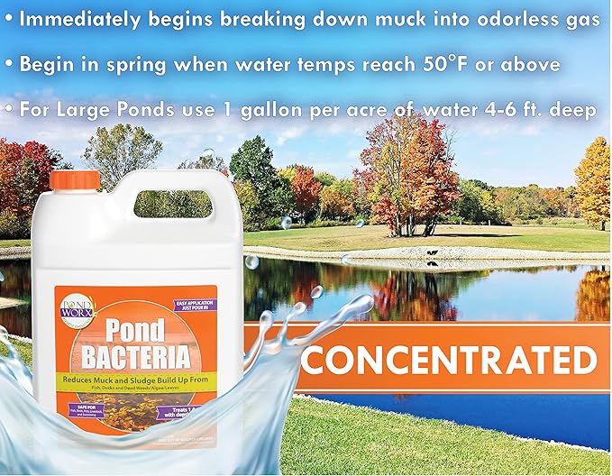 PondWorx Pond Bacteria - Formulated for Large Ponds, Water Features and Safe for Koi - Gallon
