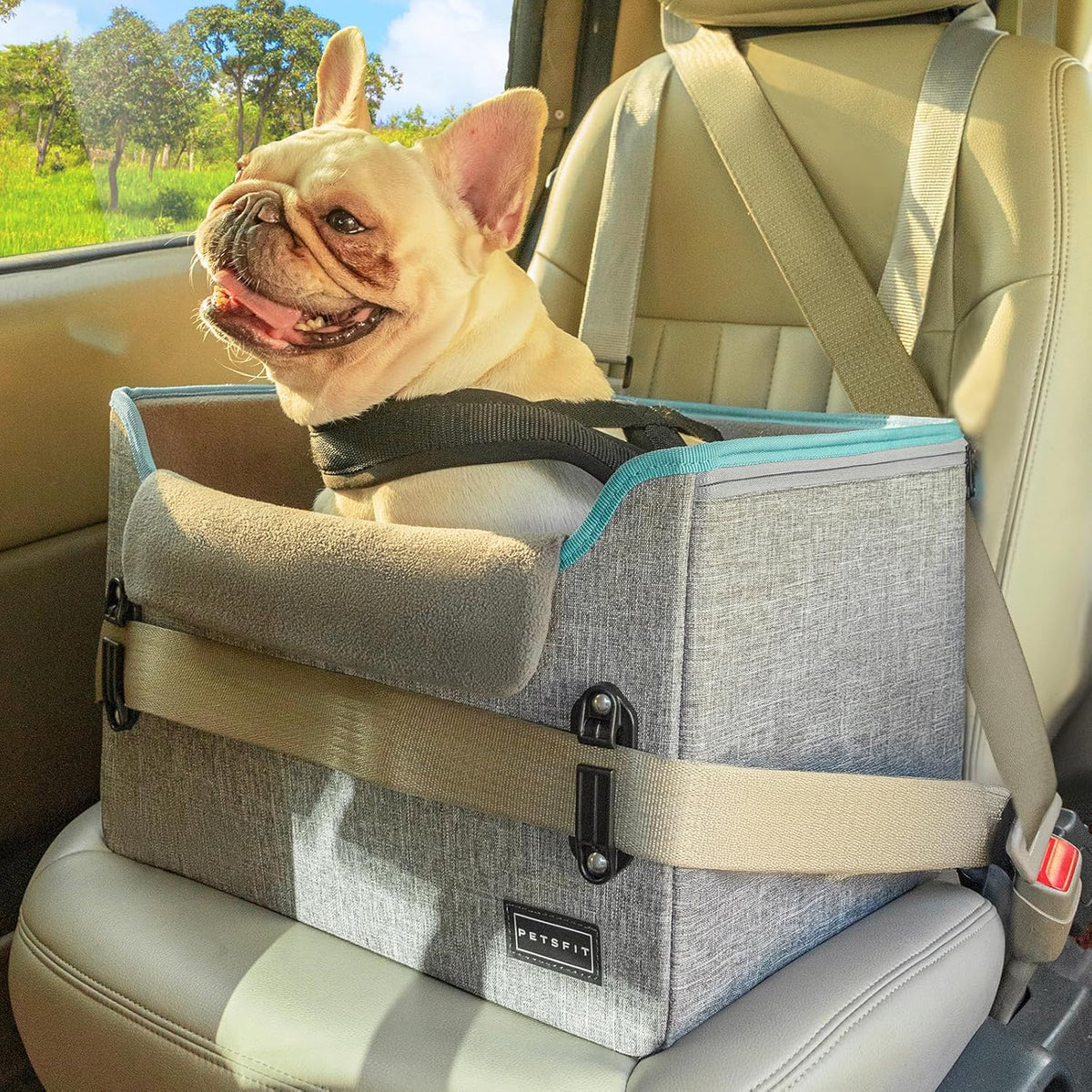 PETSFIT Dog Car Seats for Small Dogs, Patented Safety Buckles - Oxford Cloth / Grey