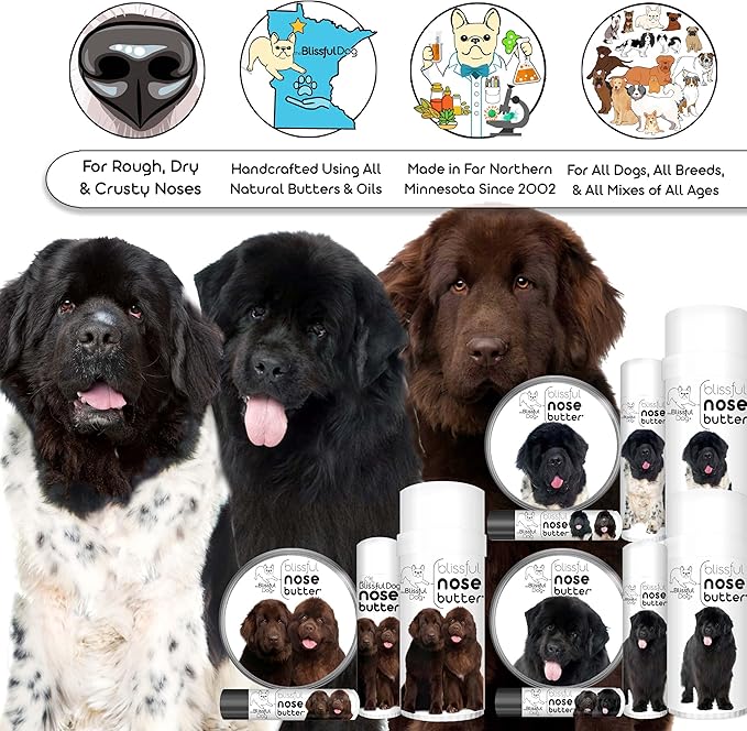 The Blissful Dog Newfoundland Nose Butter for Dry, Cracked Skin, Lick-Safe Dog Nose Balm with Moisturizing Shea Butter, Almond, Olive, and Essential Oils, Pet Supplies, Uncented, 1 oz.