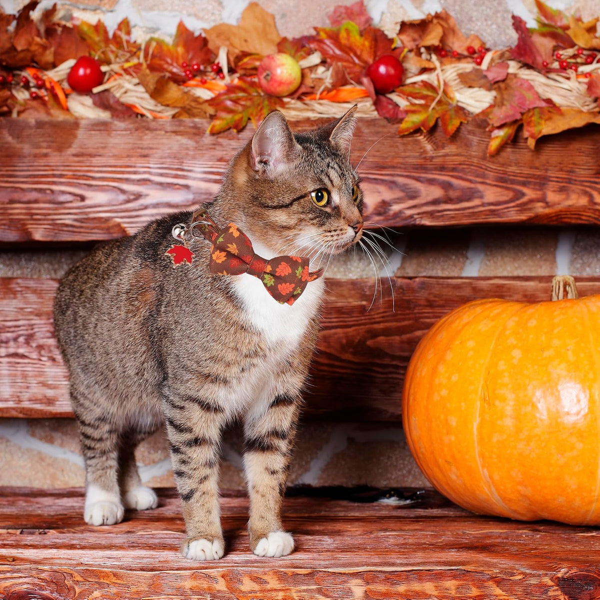 Fall Cat Collar with Bowtie - 7.5"- 10.5" / Fall - image 2