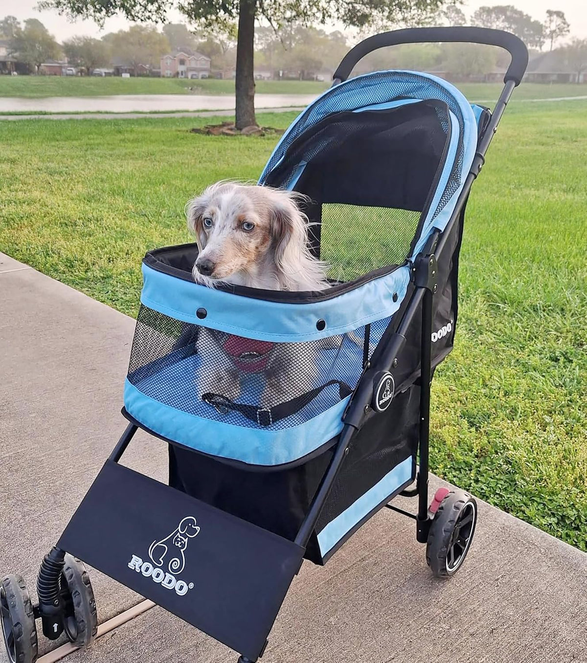 ROODO 4 Wheel Dog Cat Pet Stroller Best Lightweight Foldable Compact - Sky blue - image 2