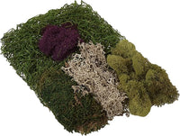 SuperMoss (23310) Moss Mix - Best Sellers, 80.75 Cubic Inch Bag (Appx. 2 Ounce)