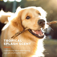 Wet Ones for Pets Antibacterial Dog Wipes - Tropical Splash / 100 Count (Pack of 12) - image 3