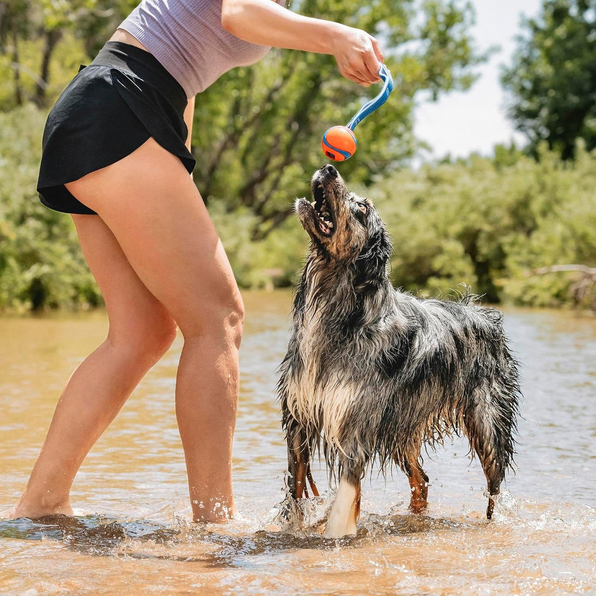 Chuckit! Ultra Tug Dog Toy - Medium / Ultra Duo Tug - image 2
