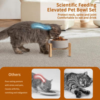 Elevated Ceramic Dog Bowl - Light Gray / Small - image 4