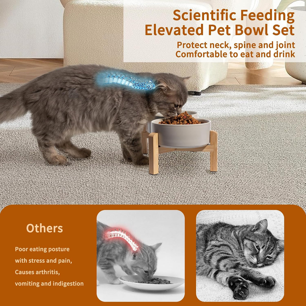 Elevated Ceramic Dog Bowl - Light Gray / Small - image 4
