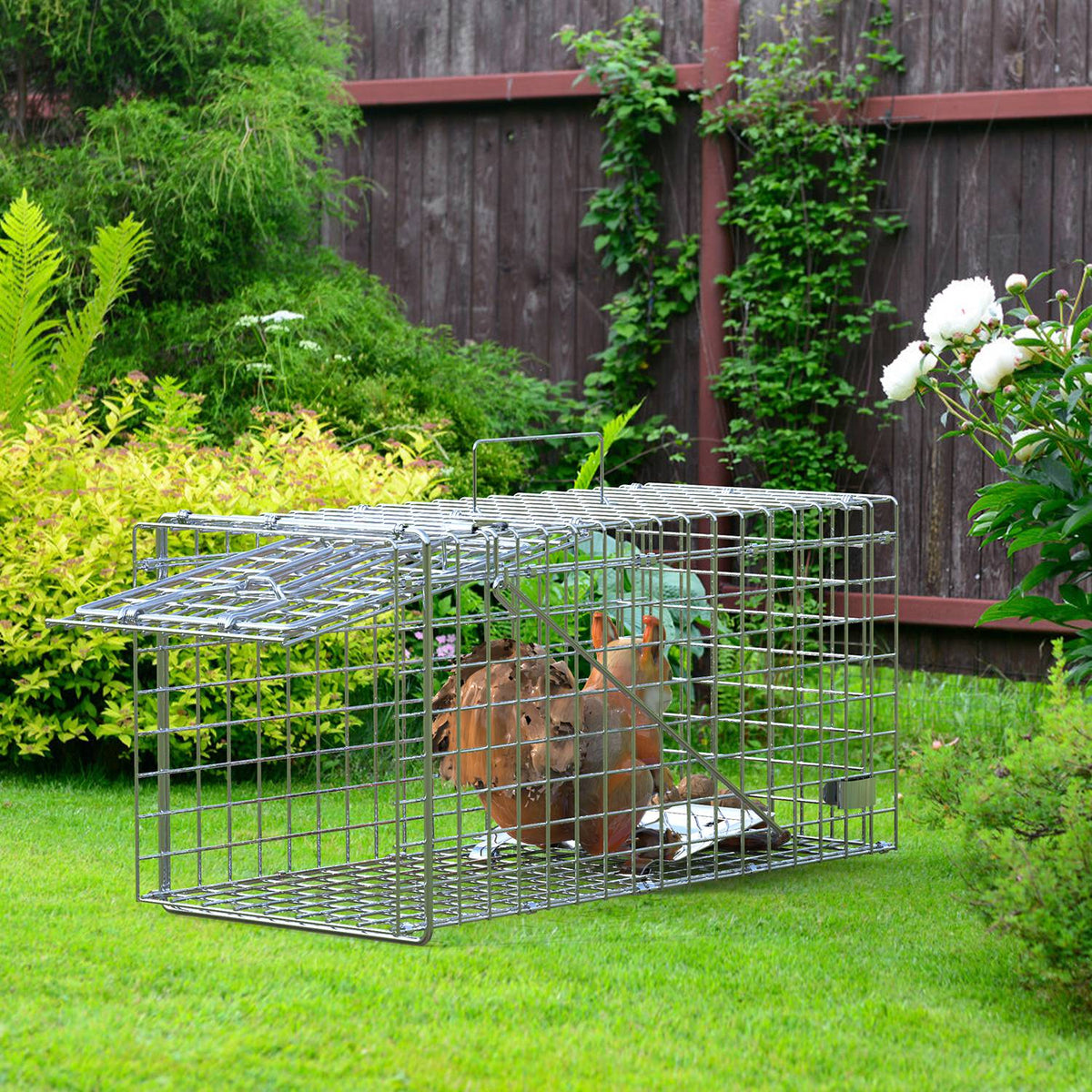 2Pcs 18x8x10In Humane Single Door Live Animal Trap For Spring Summer Collapsible Galvanized Iron Animal Cage Catch And R