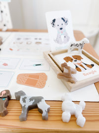 Vet Clinic Dramatic Play