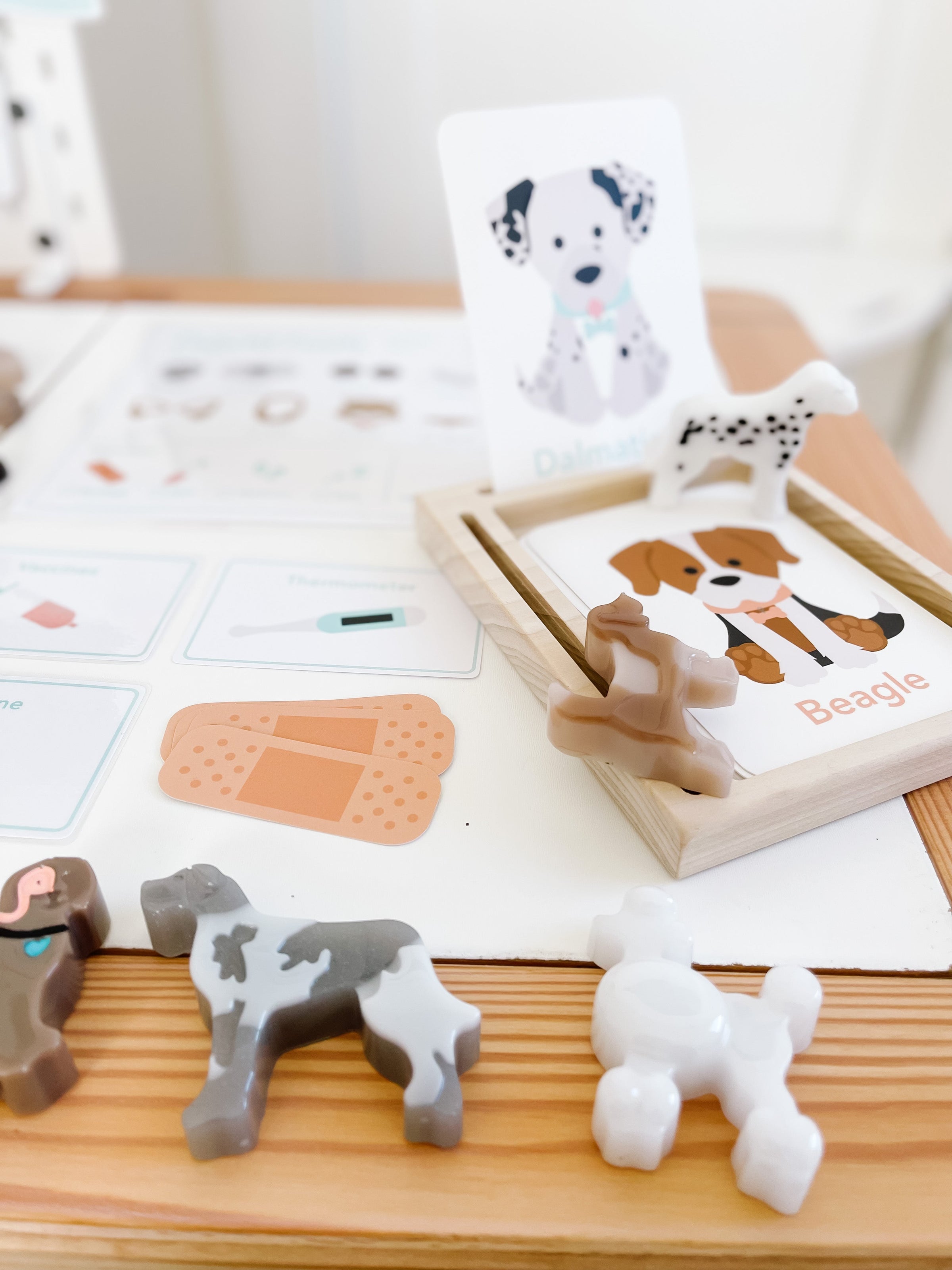 Vet Clinic Dramatic Play