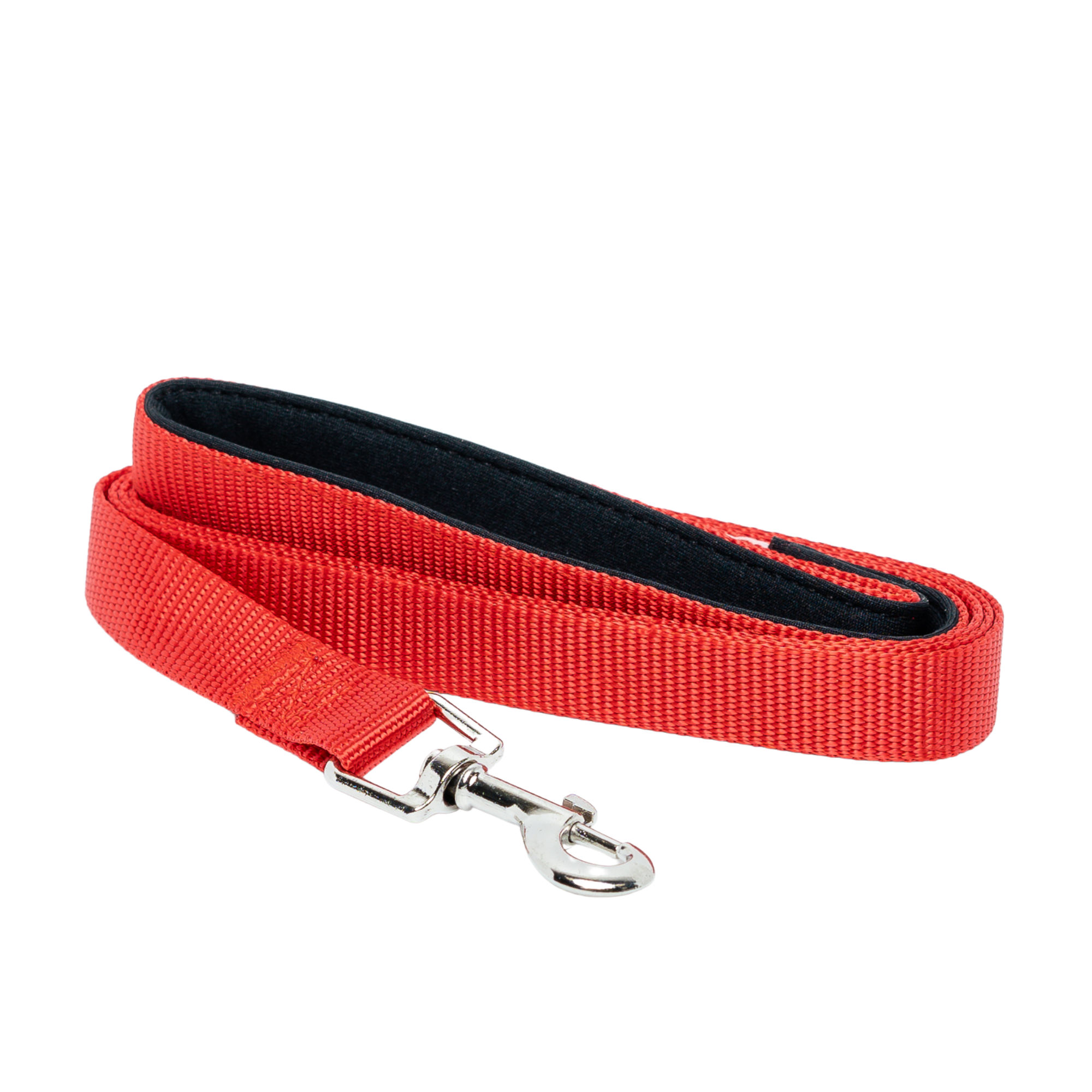 Padded Grip Dog Leash – Durable Nylon, Comfortable, and Secure – 5ft. - BIG FRENCHIES