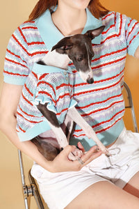 Pet & Me Spring Summer Ocean Blue Ruffle Crochet Short Sleeve Polo Shirt