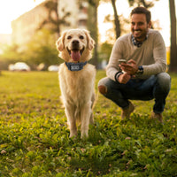 1Set 328FT Electric Wireless Dog Fence System With GPS Location Monitor Collar Receiver Rechargeable Beep Vibration Fenc