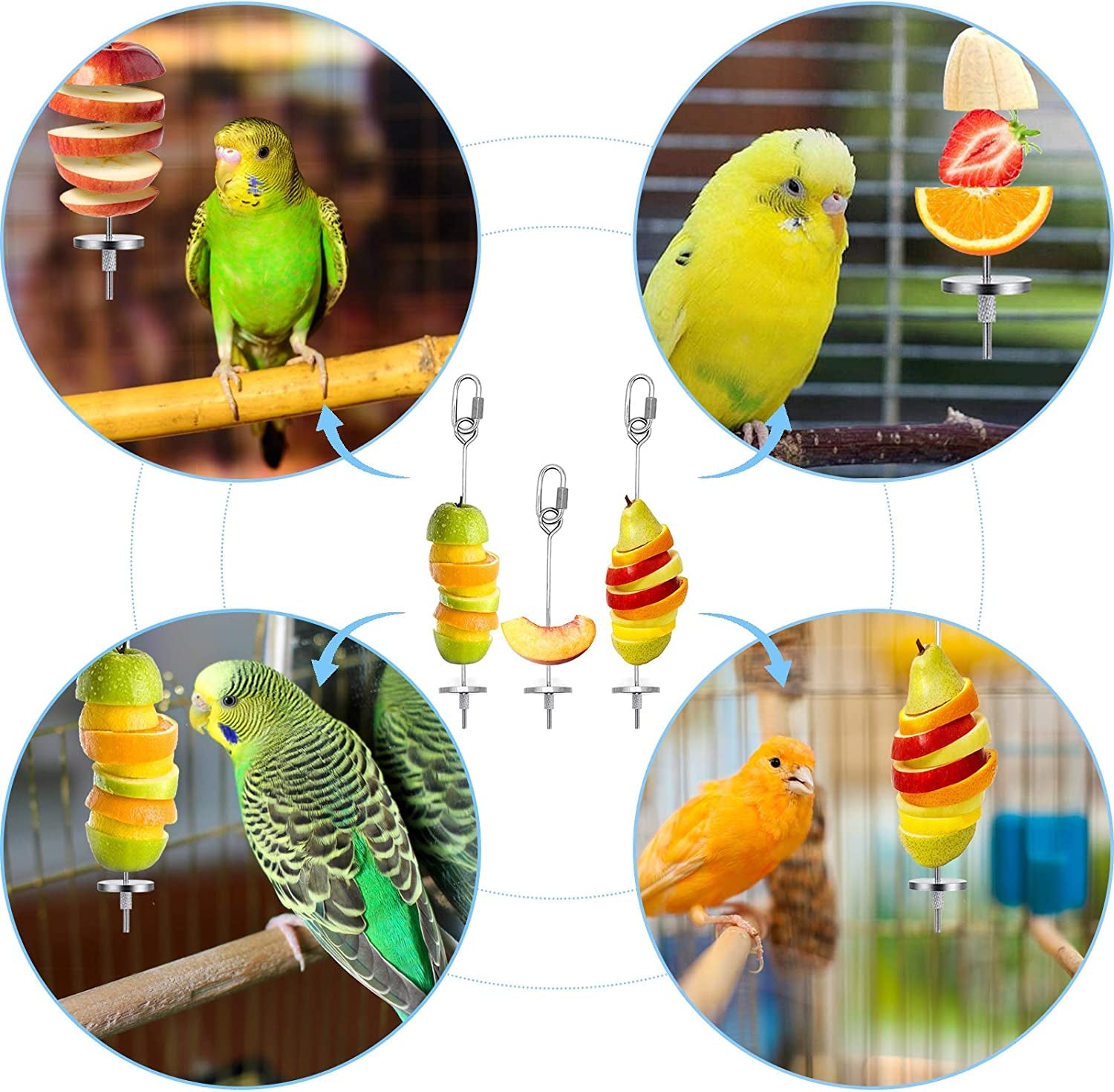 3Pcs Bird Food Holder - BIG FRENCHIES
