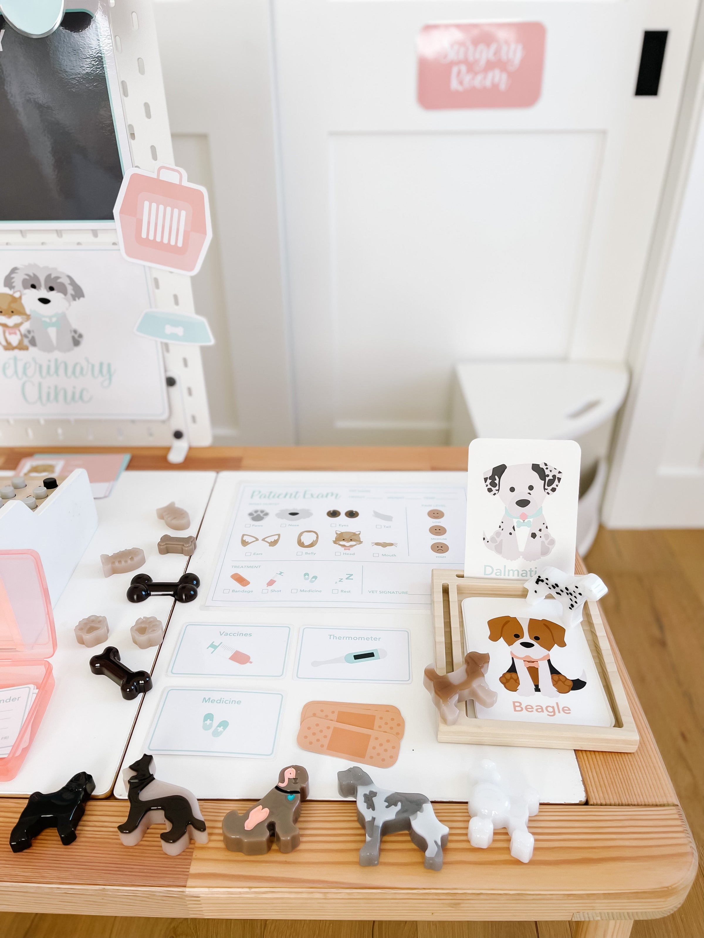 Vet Clinic Dramatic Play