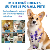 Pet Hair Daily Gentle Cleaning and Scented No-Rinse Care Essence for Cats and Dogs