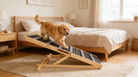 2026 Upgraded Dog Ramp for Couch, Small Dog Ramp for Sofa, 6 Adjustable Height from 14'' to 25", Portable Stable Pet Ste