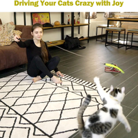 Cat Toys For Indoor Cats, Interactive Cat Toy 2PCS Retractable Wand Toy And 9PCS Cat Feather Toys Refills, Funny Kitten 