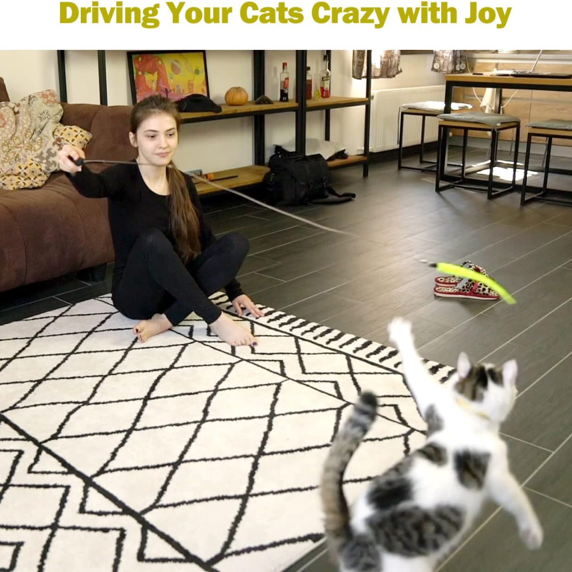 Cat Toys For Indoor Cats, Interactive Cat Toy 2PCS Retractable Wand Toy And 9PCS Cat Feather Toys Refills, Funny Kitten 