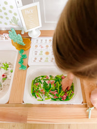 Desert Animals Printable Dramatic Play Kit