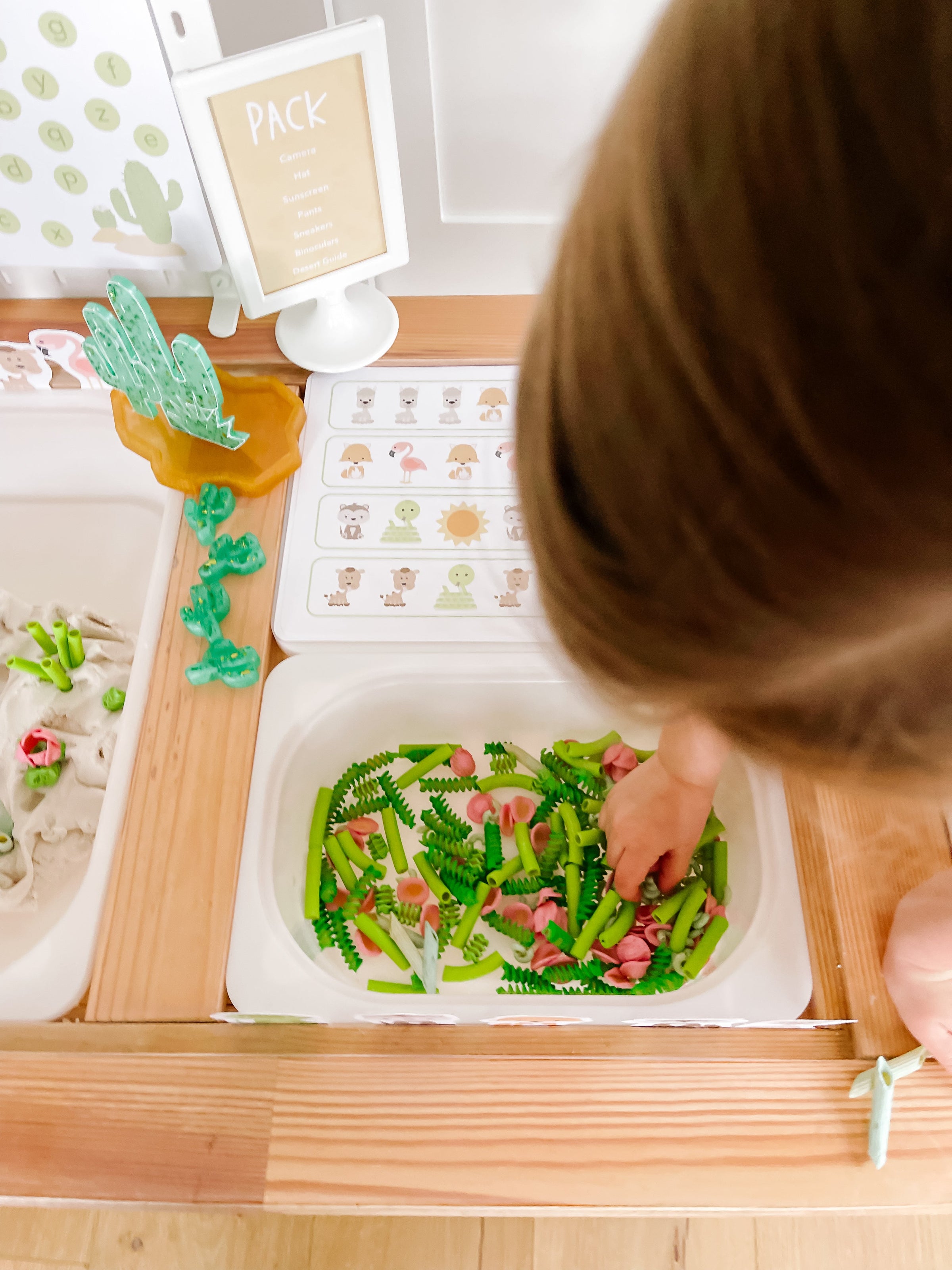 Desert Animals Printable Dramatic Play Kit