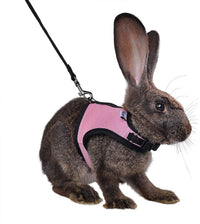 Adjustable Soft Harness with Elastic Leash for Rabbits (M, Pink) - BIG FRENCHIES