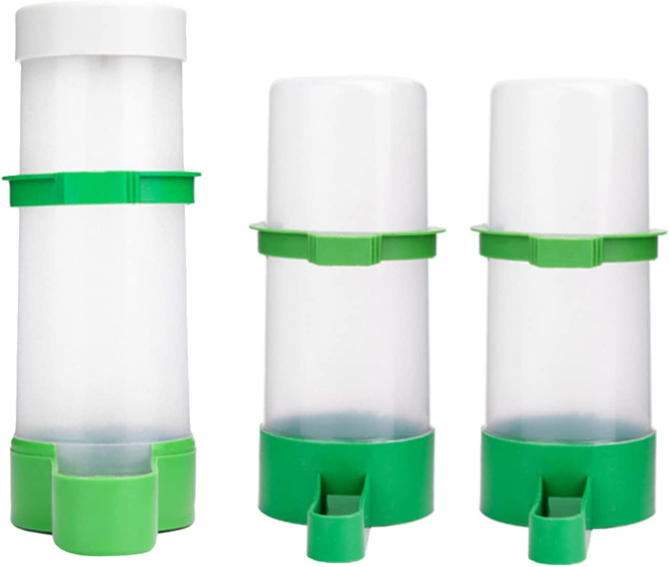Automatic Bird Feeder & Water Dispenser - BIG FRENCHIES