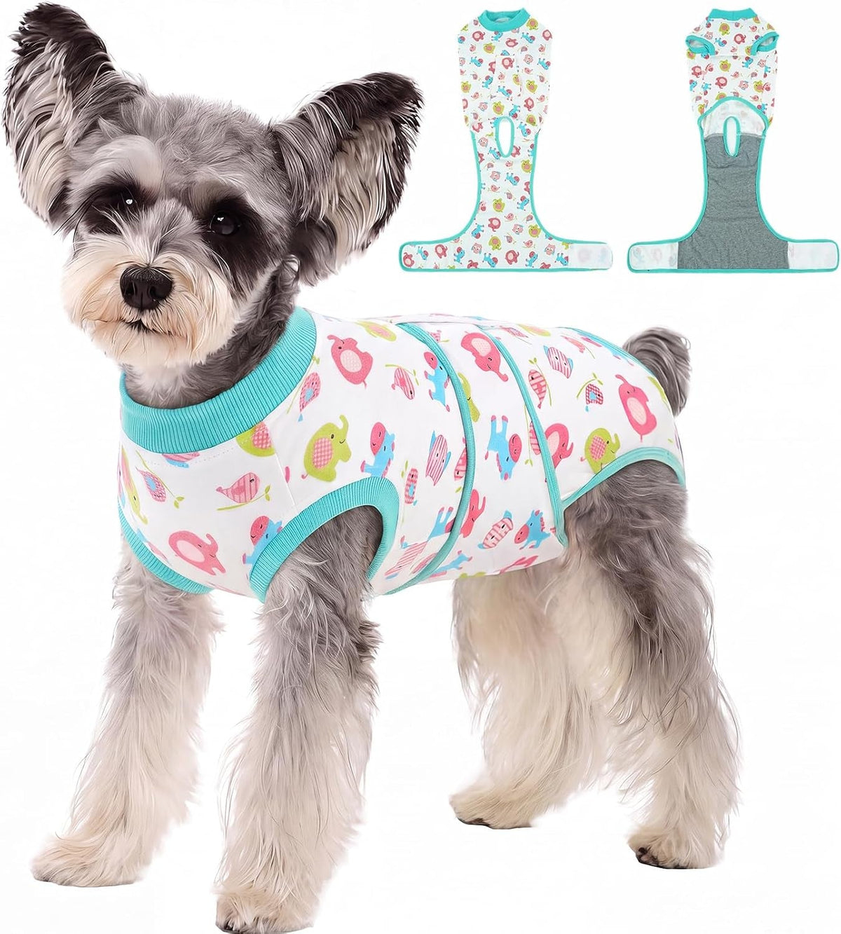 Female Dog Recovery Suit After Spay, XS–2XL